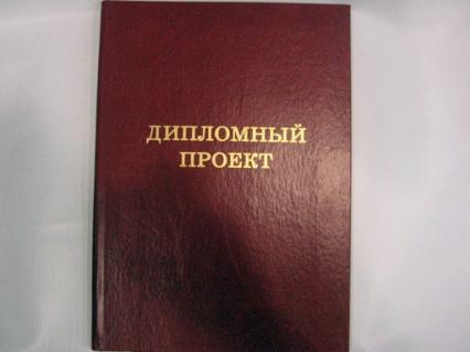 Папка "Дипломный проект" без бумаги 