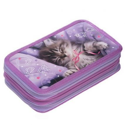 Пенал 3 отд. Х "Что снится котикам?" 19*11 cм