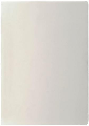 Обложка для паспортного листа