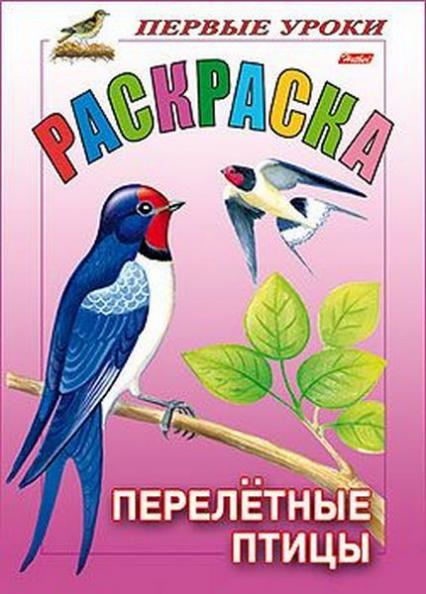 Раскраска А5+ Х Первые уроки. Посмотри и раскрась "Перелетные птицы"