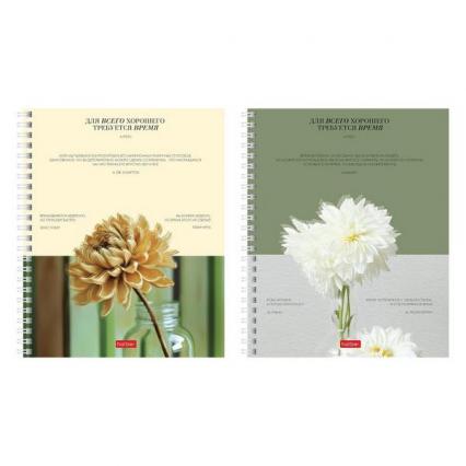 Тетрадь 96 л. лин. греб. Х "Наше время" софт-тач