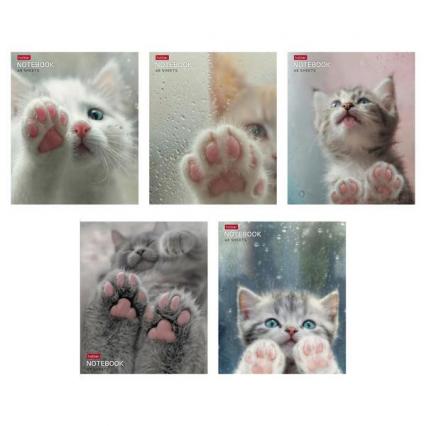 Тетрадь 48 л. кл. Х "Розовые лапки"