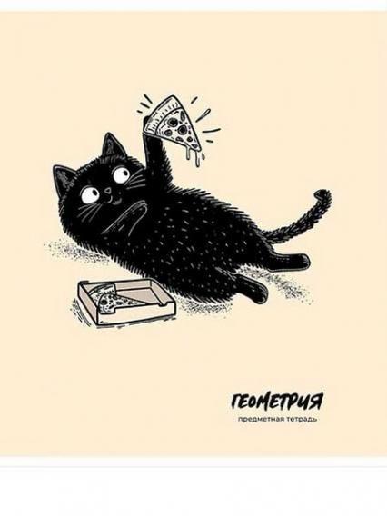 Тетрадь 48 л. кл. ПП "Плохой кот. Геометрия"