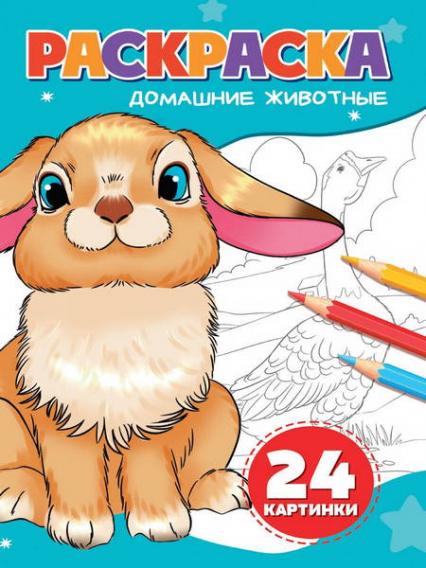 Раскраска А5 ПП "Домашние животные"