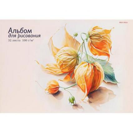Альбом для рис. А4 32 л. склейка ПП "Оранжевое растение"