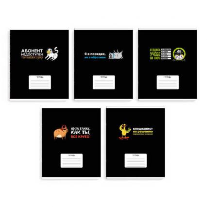 Тетрадь 24 л. кл. Ф+ "Герои с характером"