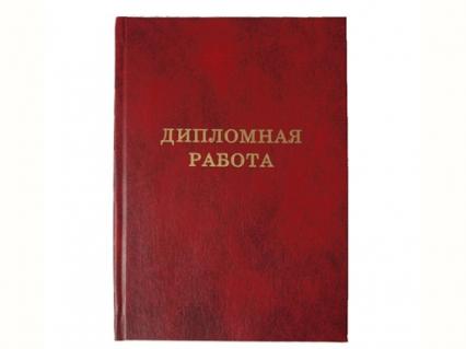 Папка "Дипломная работа" без бумаги 