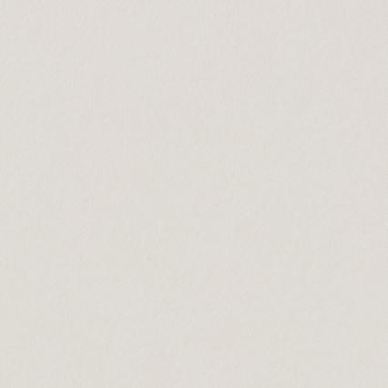 Картон пивной 20*30 см, 1,55 мм, 850 г/м2, белый