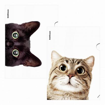 Папка-уголок А4 ЕК "Hiding cats" 160 мкм 