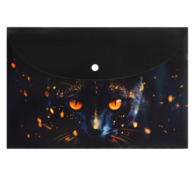 Папка-конверт на кнопке А4 Ф+ "Кот-маг"