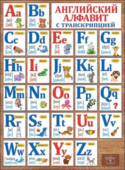 Плакат А2 "Английский алфавит" с транскрипцией