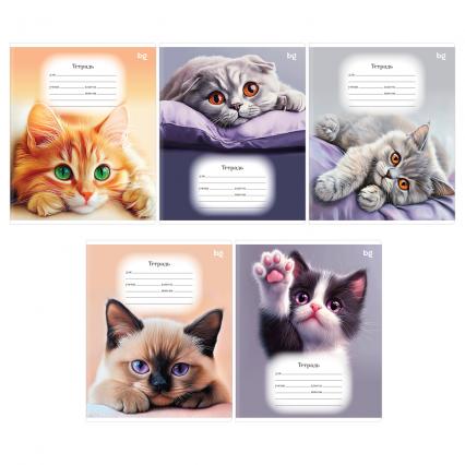 Тетрадь 18 л. кл. БД "Фиолетовые кошки"