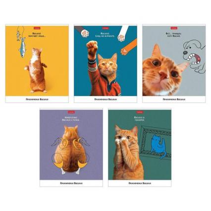 Тетрадь 48 л. кл. Х "Приключения Василия"