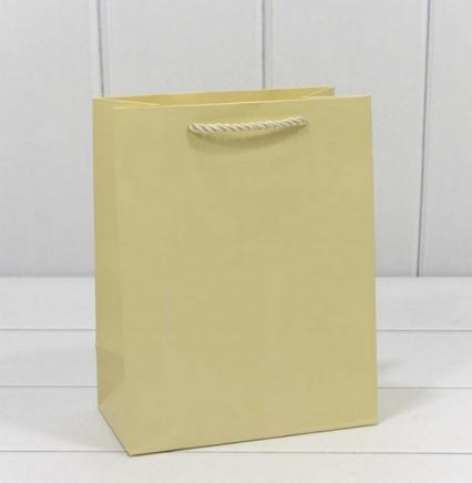 Пакет подар. 18*23 см OMG "Фактура. Бежевый"