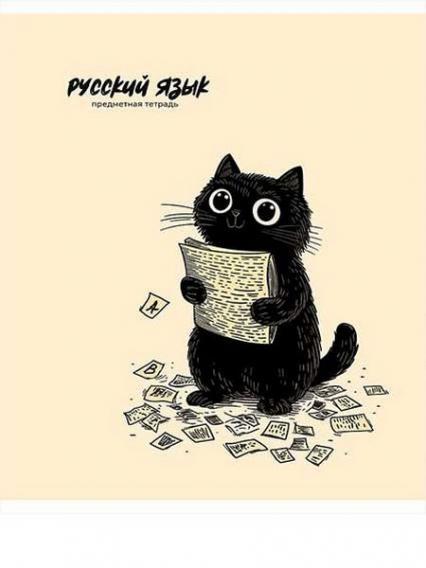 Тетрадь 48 л. лин. ПП "Плохой кот. Русский язык" 
