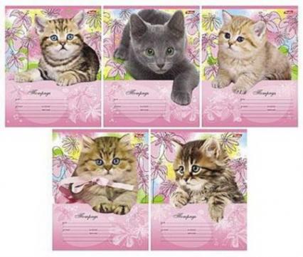 Тетрадь 18 л. лин. Х "Котята"