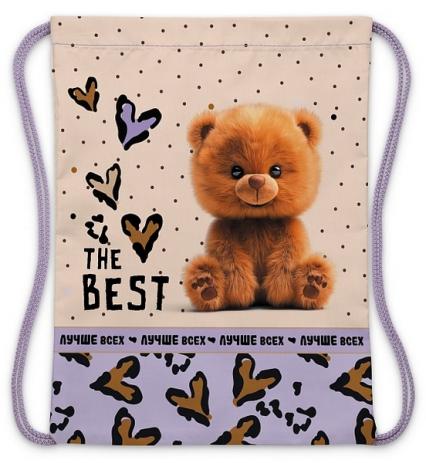 Мешок для обуви 1 отд. 33*42 см Х "Пушистый мишка"