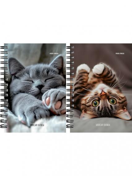 Записная кн. А6 120 л. греб. клетка ПП "Милые котики"