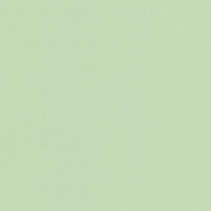 Картон цв. А3 Vista-Artista 300 м/г2, мятный/mint