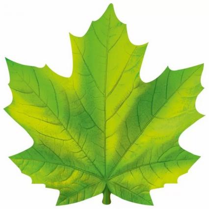 Украшение фигурное "Кленовый лист зелёный"