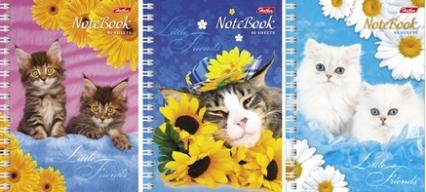 Записная кн. А6 80 л. греб. Х "Милые котята"