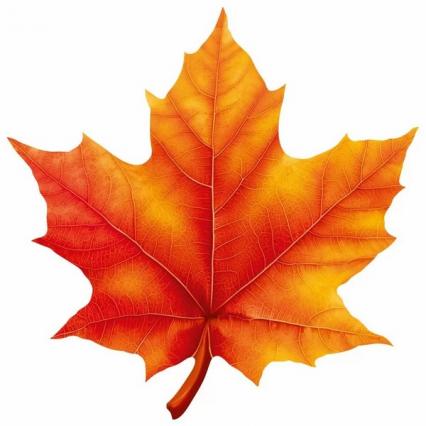 Украшение фигурное "Кленовый лист оранжевый" на скотче