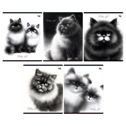 Тетрадь 48 л. кл. БД "Пушистые коты"