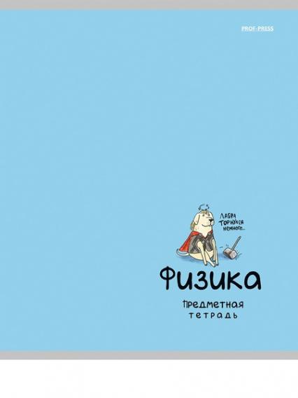 Тетрадь 48 л. кл. ПП "Мини друзья. Физика"