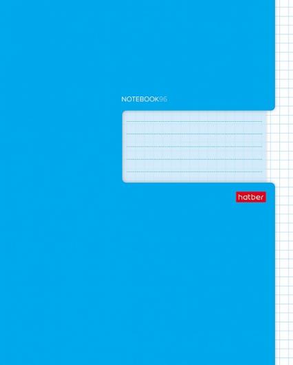 Тетрадь 96 л. кл. Х "Синяя"