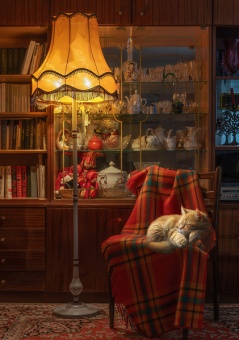 Пазл 1000 эл. Фрея "Вечерний уют"