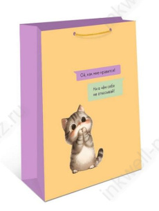 Пакет подар. 18*22,3 см Арт