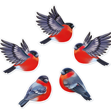 Наклейки на стекло Наклейки на стекло