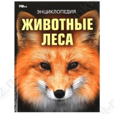 Энциклопедия тв. обл. А4 Умка "Животные леса"