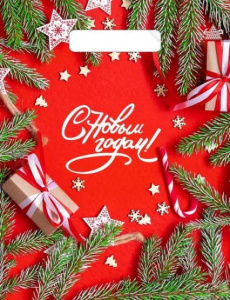 Пакет п/э НГ с выруб. ручками 23*30 см "Цвет Нового года" 30 мкм