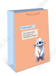 Пакет подар. 26*32 см Арт 