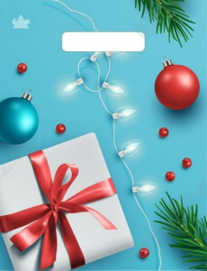 Пакет п/э НГ с выруб. ручками 23*30 см "Подарок и шарики" 30 мкм