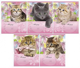 Тетрадь 18 л. лин. Х "Котята"