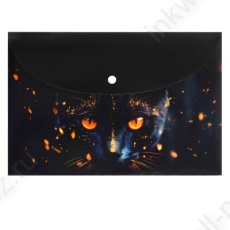 Папка-конверт на кнопке А4 Ф+ "Кот-маг"