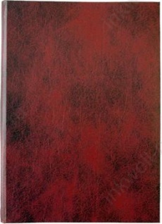 Папка "Дипломная работа без надписи" без бумаги