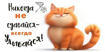Открытка-конверт "Никогда не сдавайся" (рыжий кот)