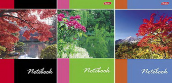 Блокнот А6 40 л. греб. клетка Х "Пейзажи"