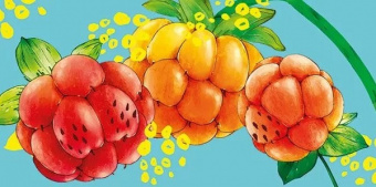 Открытка-конверт б/н